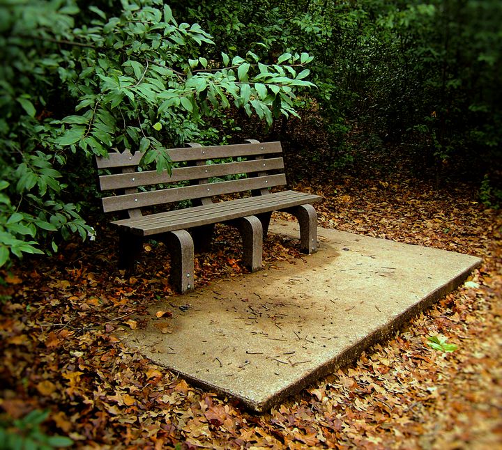 Park Bench